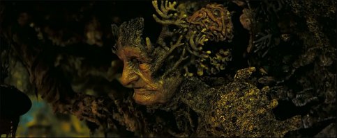 Проголодались: пугающие снимки деревьев, поглощающих все вокруг