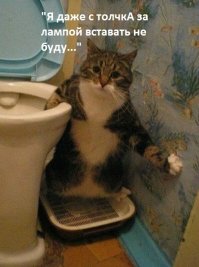 Житель Румынии пошел отдохнуть в паб и очнулся в Лондоне