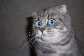 а чо так можно было