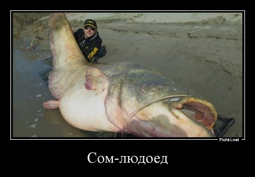 Не благодари. ))