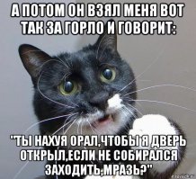 Ага,если кот твой показания в суде даст: