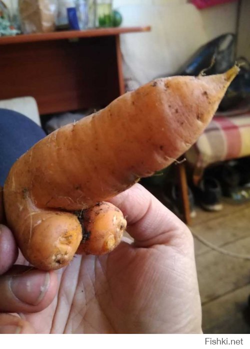 такая вот морковь выросла