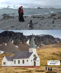 Потрясающие финалисты комедийной фотографии дикой природы 2017