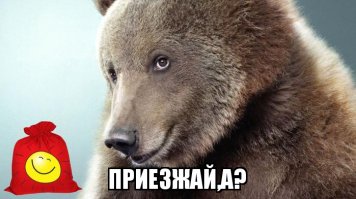 Мёд пролился в багажнике