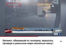 просто, ему там обрезание чуть не сделали....
