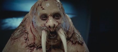 А вот этот парень не мечтал стать моржом, но стал им.