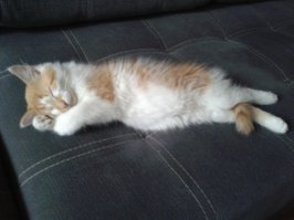 Позитивный пост. Все правильно сказал - членов семьи не продают!