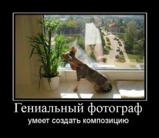 Невероятные отражения, которых не должно было быть