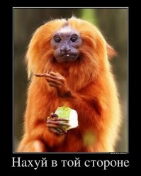 Как же ты задолбал со своей логикой, хотят люди - заходят. Как убедиться в том что пост-.овно?