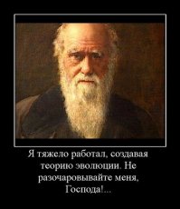 Претендент на премию «Идиот года». Приключения человека с ружьем на рыбалке