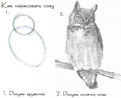 это из рубрики одарённых художников