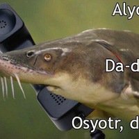 Про тигра и фельдшера