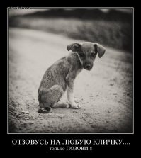 Девушка забрала пса из приюта, и теперь его счастью нет предела