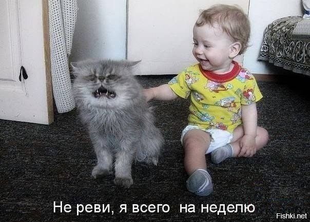 когда племянник в гости проходит,то я забываю что у меня есть кот!))а это глупенький))