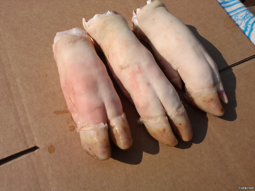 А что, у свиньи копыта не раздвоенные? Для сравнения рядом говяжьи, есть разница?