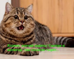 Как я полгода проработал сторожем, причём не ради зарплаты