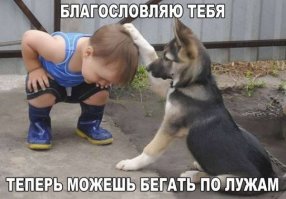 Забавные малыши