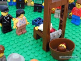 Фотоподборка за 10.11.2017