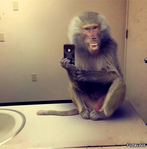 Московский студент отдал в очереди за iPhone X 93 000 рублей на покупку гаджета, но в итоге остался без телефона и денег