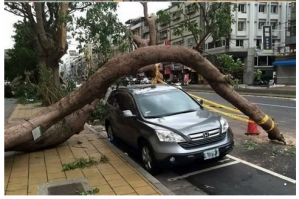 Машина воронежца который в "руссЛото" 506 лямов выиграл.