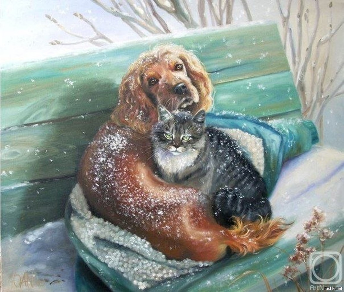 Кот и собака зимой