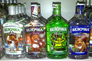 Ручные белки привлекают горожан во время прогулок по лесопарковой зоне Седанки