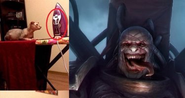 Знаки судьбы: и так намекают, и этак, но все равно их не замечают