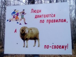 На Гелике по "встречке" у стен Кремля