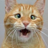 ХВА-А-АТИТ!!!!