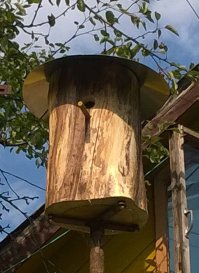 Мне больше вот такое применение пням нравится...