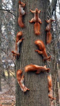 утро, проходная ликёроводочного завода