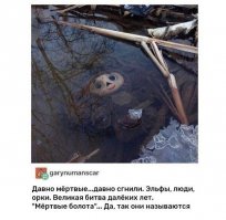 дворники деревянные, стекло замёрзшее и огромное, где руль - чё за тачка у чебурашки??
Ах да - где Гена???!