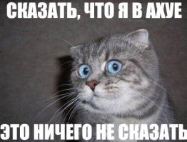 Этот парень мечтал стать утконосом, и он им стал