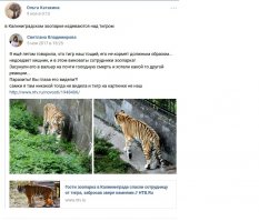Тайфун тощий и голодный . а запах алкоголя никто не любит