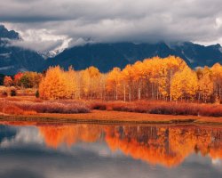 Фотоподборка за 13.11.2017