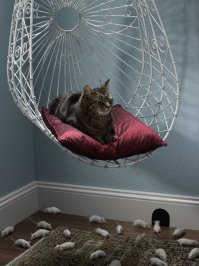 Фотоподборка за 13.11.2017