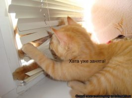 Фотоподборка за 13.11.2017