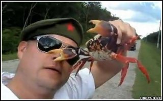 теорема доказана, крабы охотятся всегда!!!!!