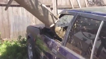 Как делают Lada Vesta