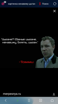 В омской области похищенного коня бросили умирать в ледяной трясине