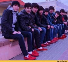 Биологическое разнообразие? Неа, не слышали! 15 самых опасных инвазивных видов животных