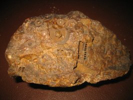 Что за "болты и шестерёнки" на камне?