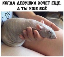 Куёво дело ,если у девушки член
