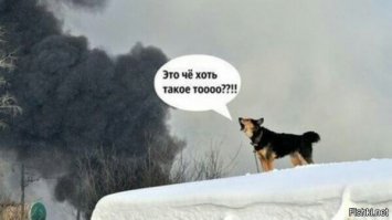 25 снимков, заставляющих раскрыть рот от удивления