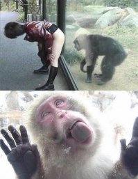 Как подкатить  и при этом не остаться в дураках