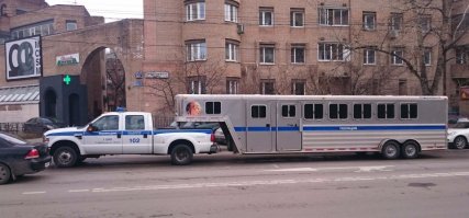 Автовсячина