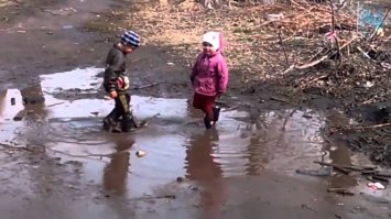 Ну, как много? В Москве некоторое количество, да в прочих городах семей по десять, не больше.
В общем, не наш это снимок. На наш вот это больше похоже: