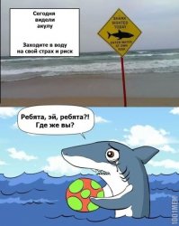 Британский серфер отбился кулаками от гигантской акулы