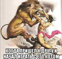 Очередная порция картинок с подписями