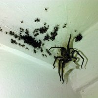 Вернемся к реальности.